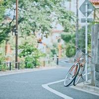 鲁肃