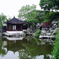 虚心的枯木
