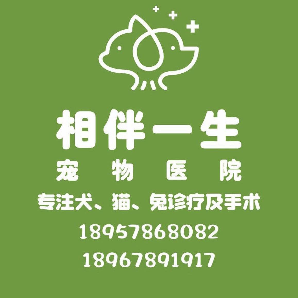 王医生 · 老板