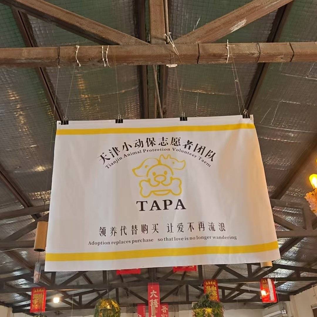 杨廷彪