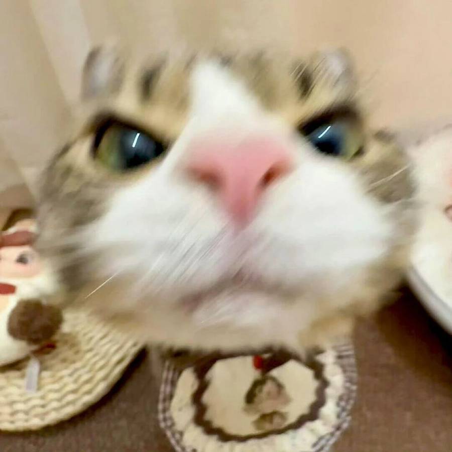 冯碧兰