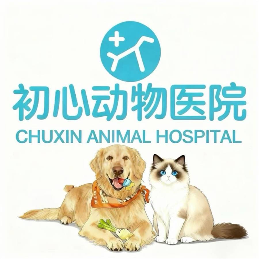 王乐涛