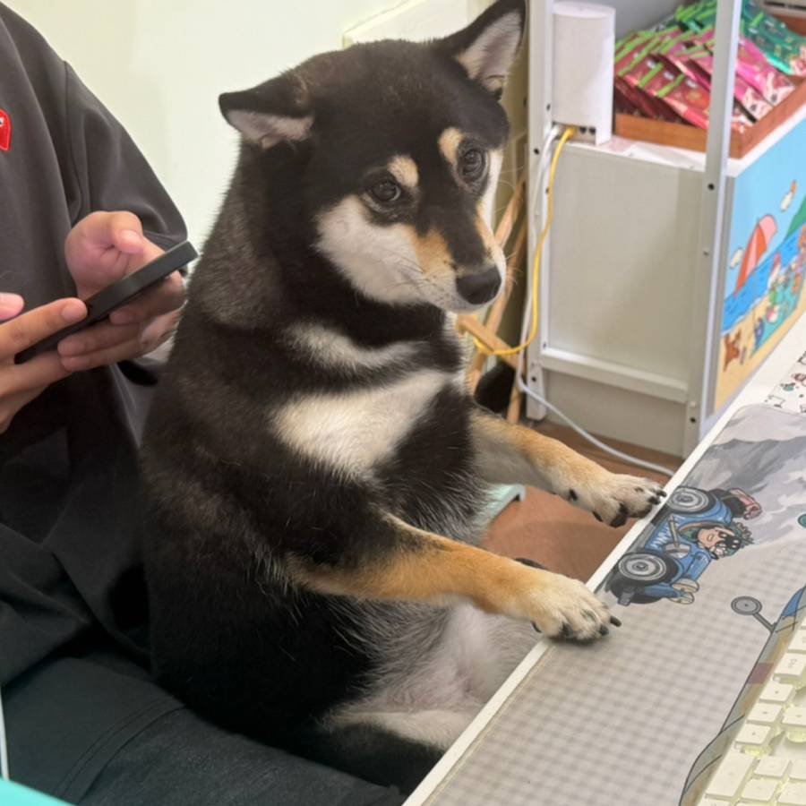 Y先生