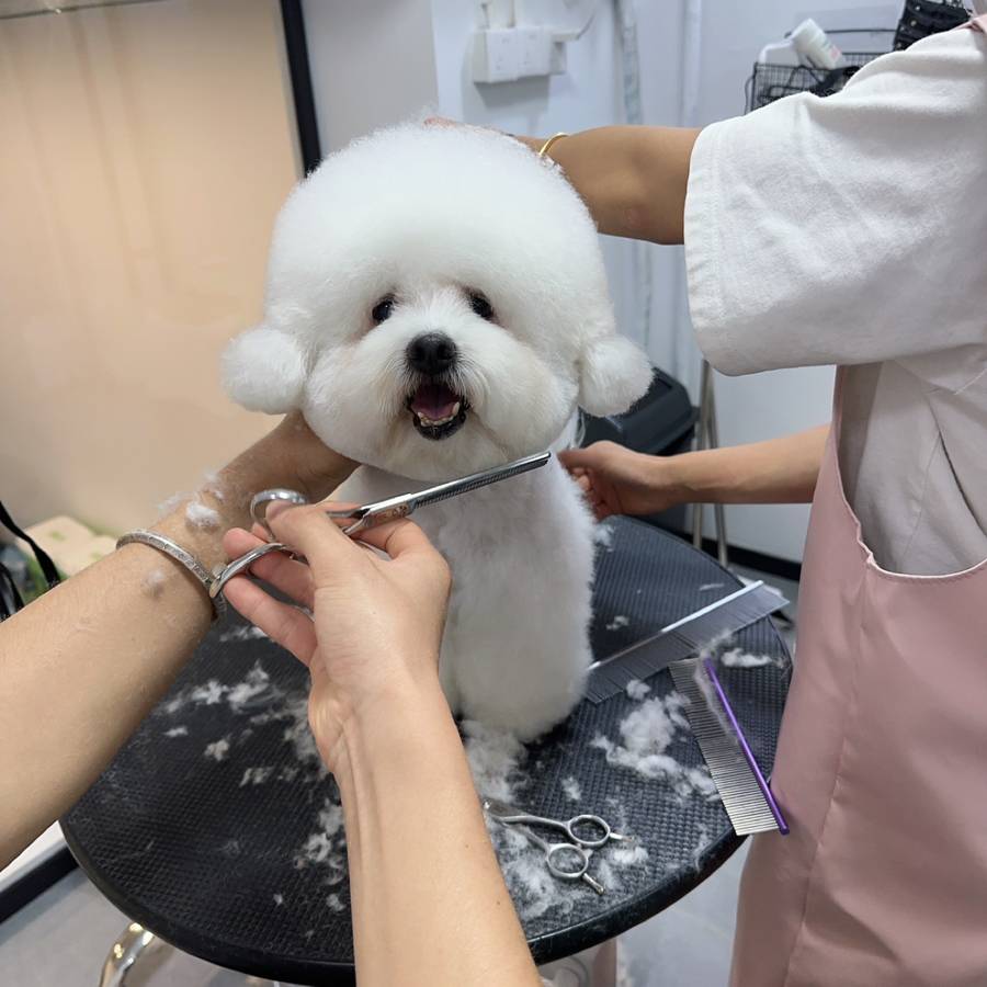 武天鹏