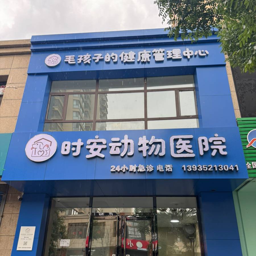 申
