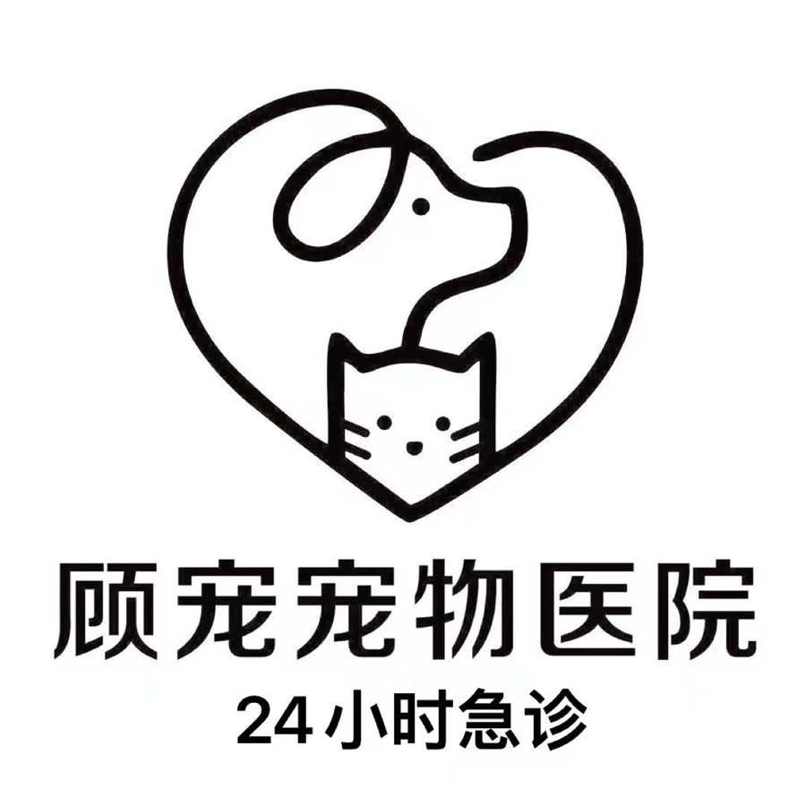 莫小聪