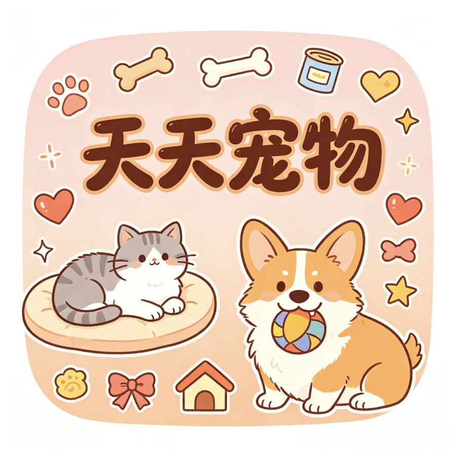 薛振 · 老板