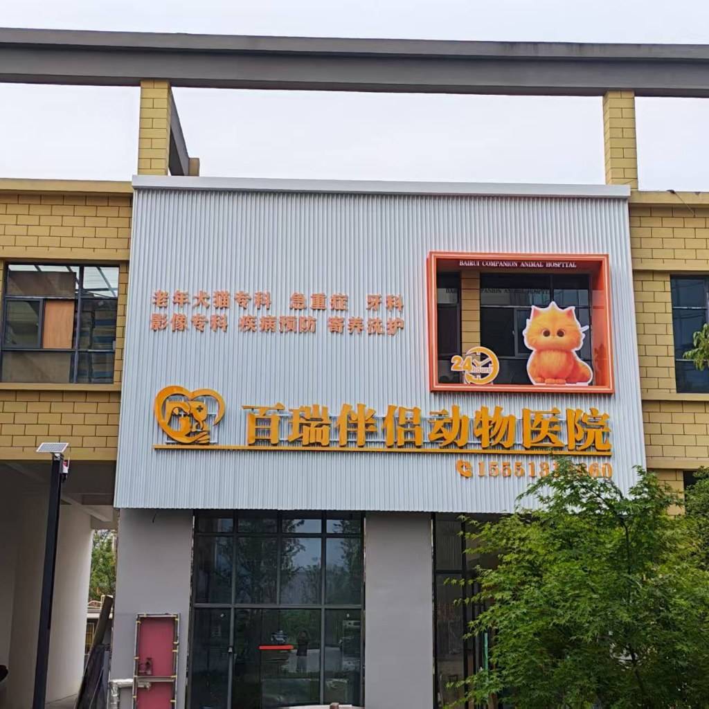 刘女士