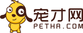 寵才網(wǎng)