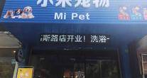 上海小米宠物店