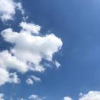施大卫 · 行政经理