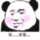 董先生