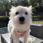 陈小姐