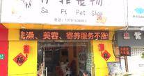 上海市浦东新区南码头街道萨菲宠物店