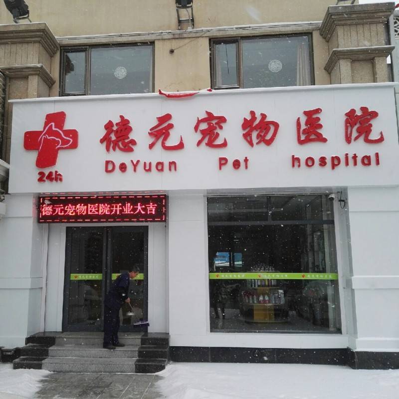 西岗区新德元动物医院店(个体工商户)