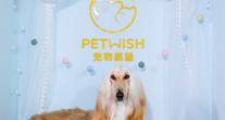 上海PET WISH 宠物愿望