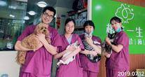 宁波相伴一生宠物诊所