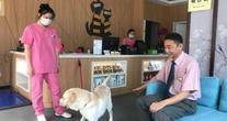 上海爱妮康动物医疗有限公司