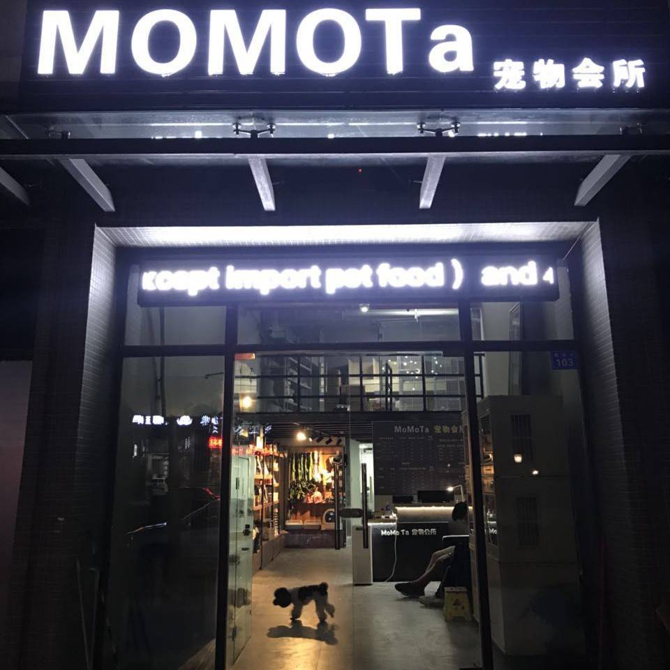 邓卓琪