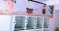 北京然也宠物诊疗中心