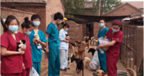 北京瑞派动物医院连锁