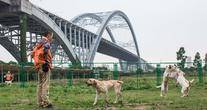 广州市海珠区赛北斗导盲犬服务发展中心