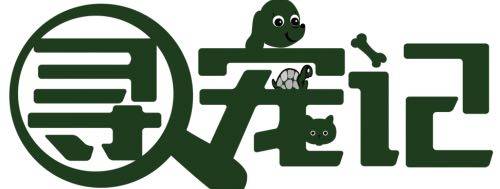 张亚东