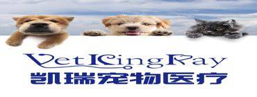 王医生