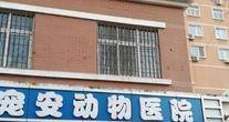 北京宠安动物医院