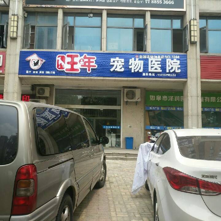 沈先生