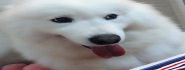 李小姐
