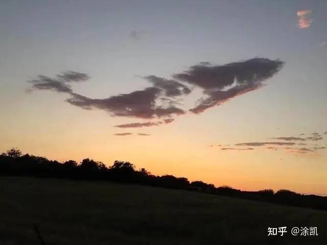 刘康 · 人事经理