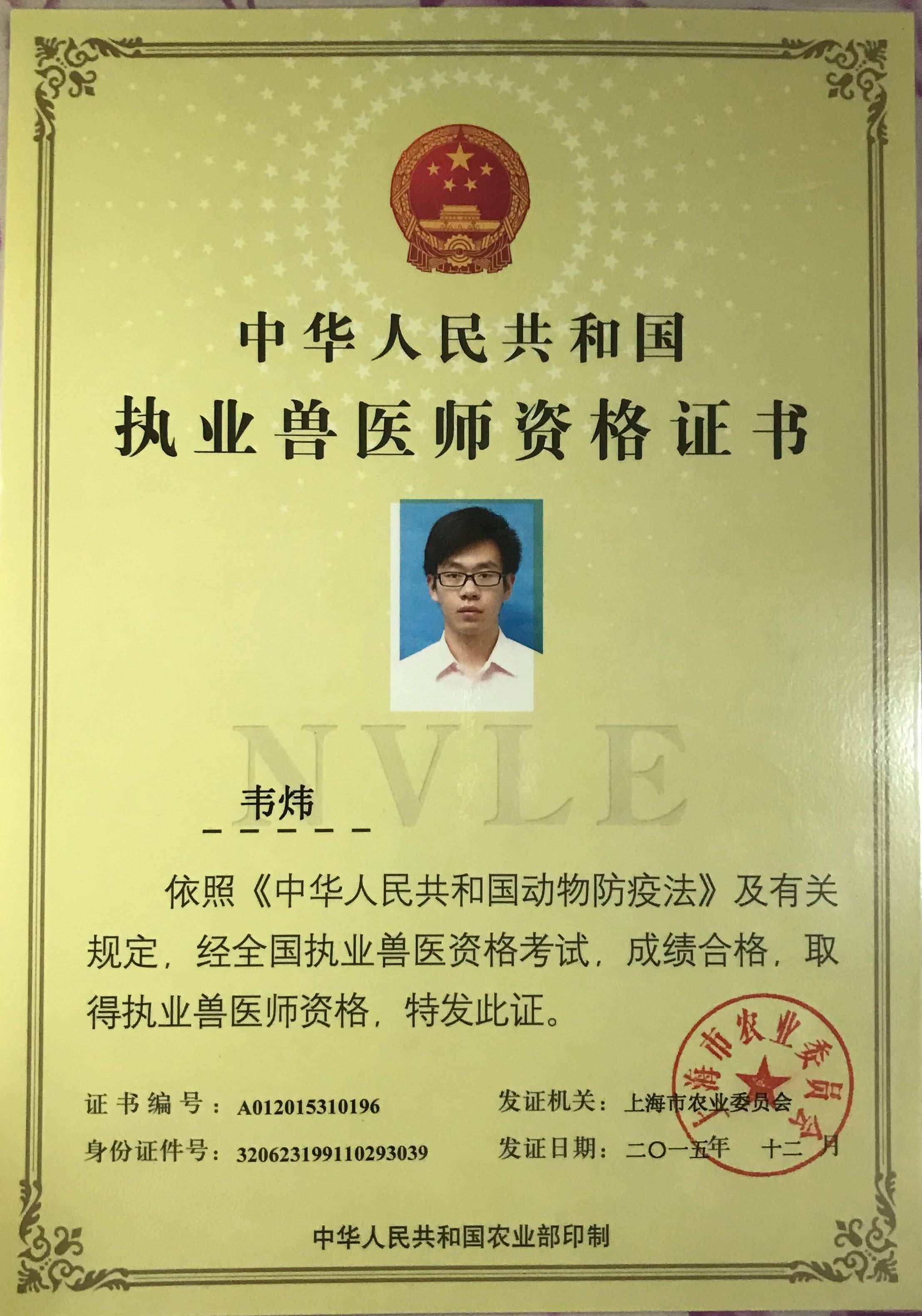 韦炜