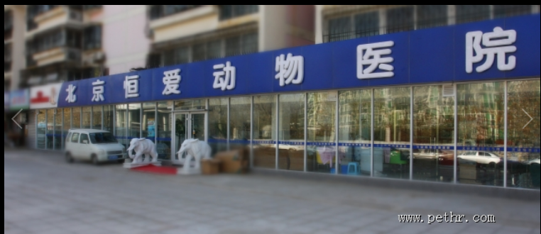 北京恒愛動物醫(yī)院