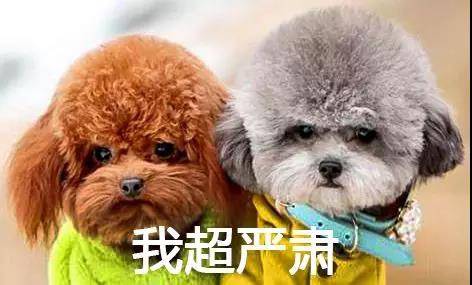 微信圖片_20180329134309.jpg