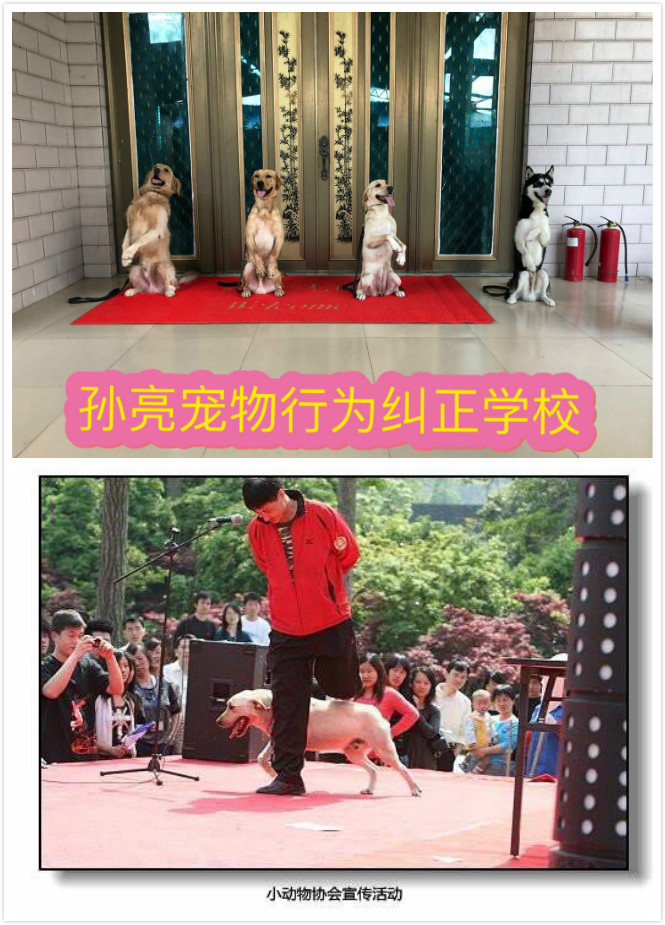 圖片1.png