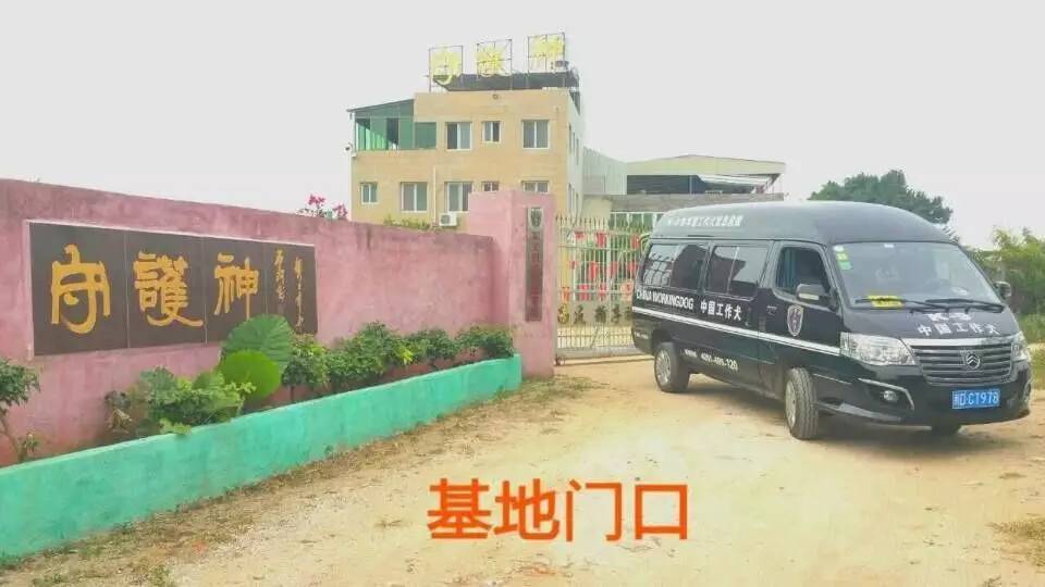  李新全：沒(méi)有愛(ài)心，請(qǐng)不要進(jìn)入寵物行業(yè)