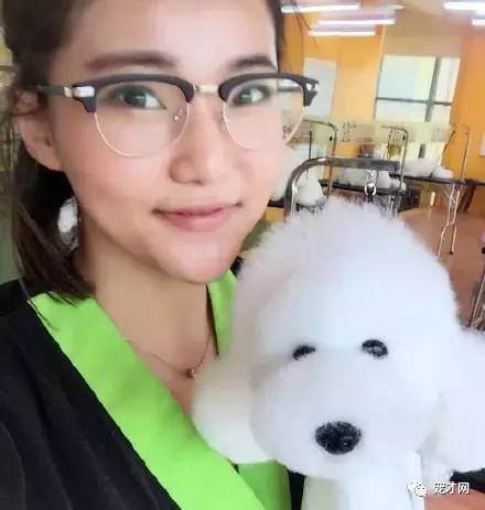 震驚！寵物美容師原來靠這個月入過萬