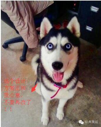 寵物醫(yī)院裝修注意事項 附效果圖