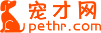 寵才網(wǎng)logo