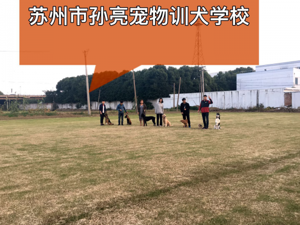 孫亮3.png