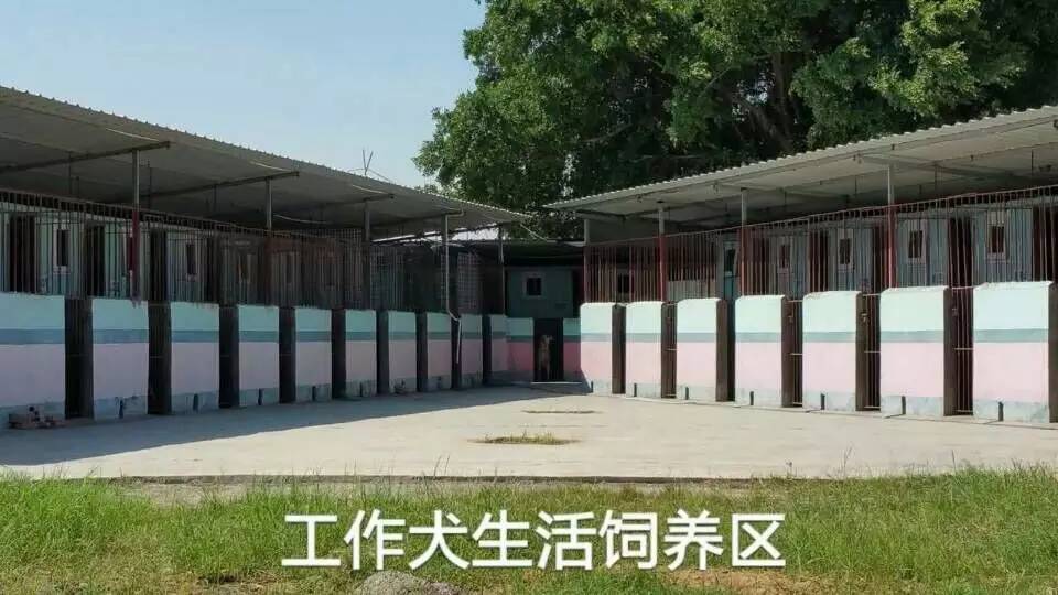 李新全：沒(méi)有愛(ài)心，請(qǐng)不要進(jìn)入寵物行業(yè)