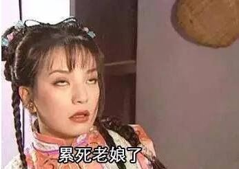 想不開，你來開個寵物店