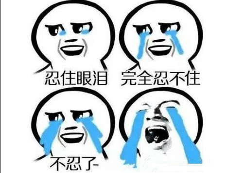 寵物美容師：一條別人羨慕但痛只有自己知道的路  