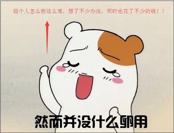 開寵物店人才招聘走過的彎路