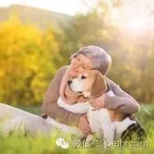 每只狗狗最后的歸宿 都是在主人心里