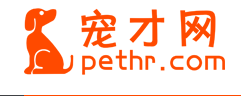 寵才網(wǎng)