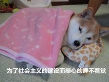 操心