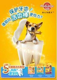 寶路潔齒棒保護(hù)狗狗牙齒