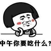 本店寵物用品上新，袖珍泰迪也能找到合適的背帶牽引！